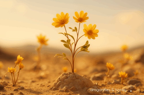 yellow wildflower symbolizing little wins and quiet growth