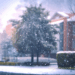 From clear skies to snowfall