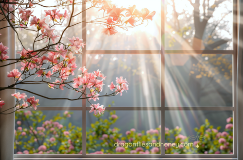 light shining through a window near blossoms